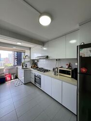 Blk 170 Stirling View (Queenstown), HDB 3 Rooms #598228891